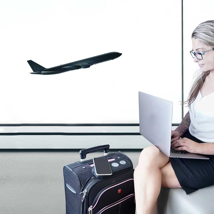 Lion Eclipse wireless charger